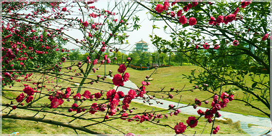 未标题-30.jpg