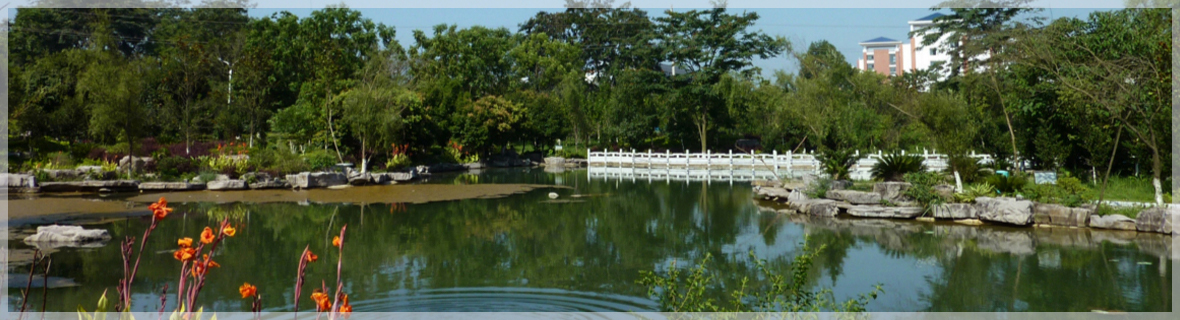 未标题-23.jpg 未标题-23.jpg