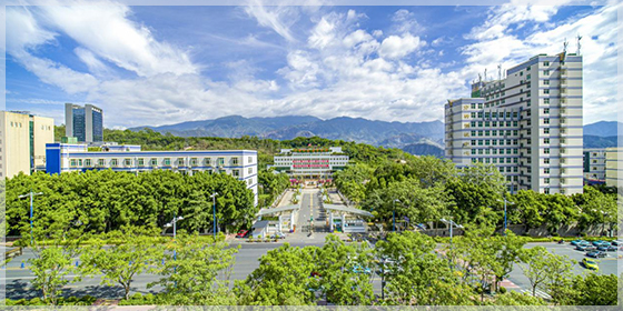 未标题-4.jpg