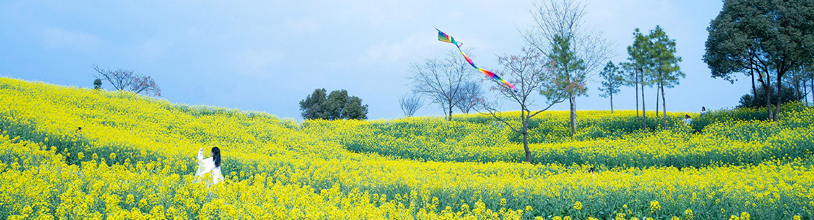 未标题-30.jpg 未标题-30.jpg